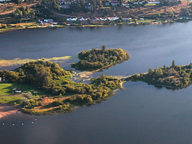 Bird's eye view of Scout Island in Williams Lake, BC. The trees are thick and full, contrasting against the dark lake.