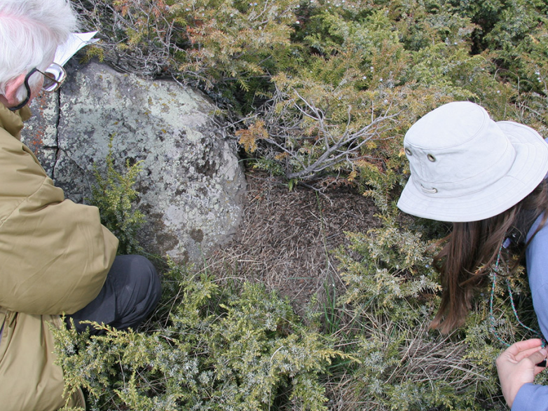 Two field naturalists have their heads close to the dirt and juniper bushes to discover nature's small creatures.