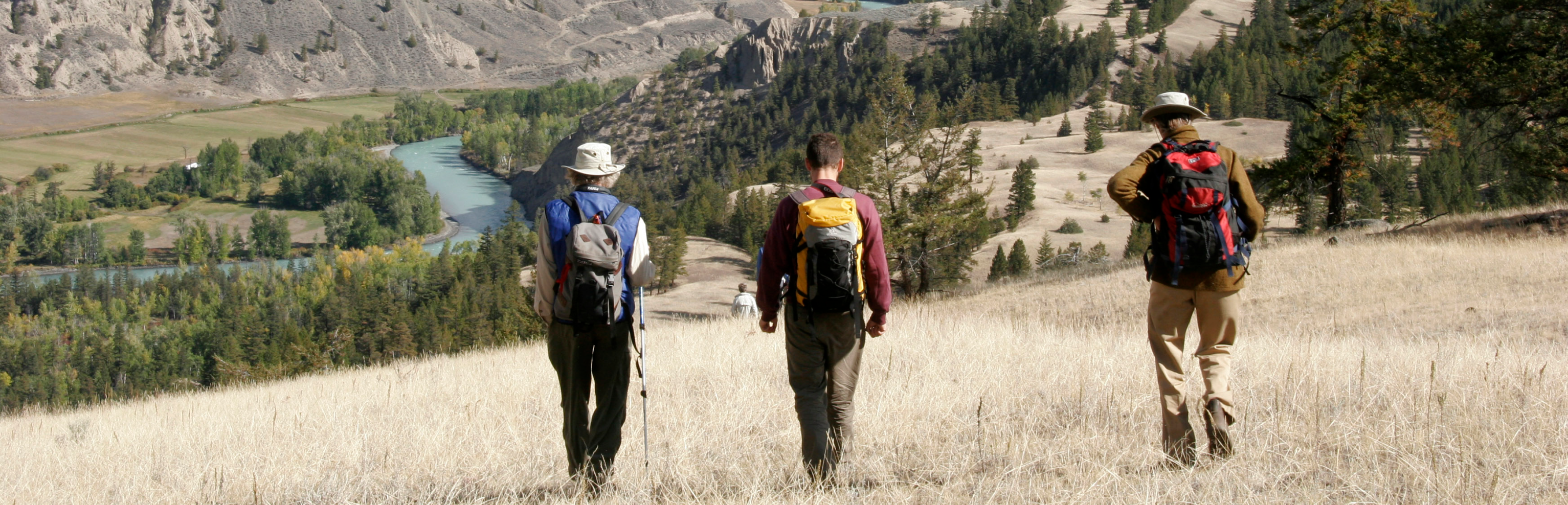 A trio of field naturalists hike down a grassy slope towards the Chilcotin river with meanders down the valley, a bright turquoise colour.