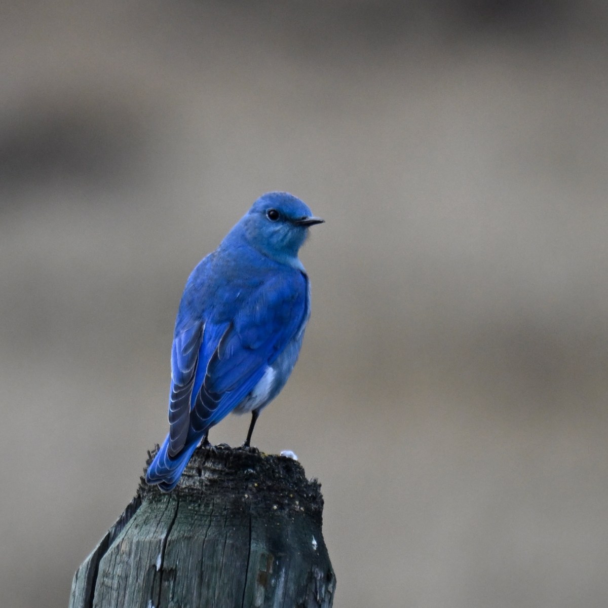 Spring Cleaning Time is&nbsp;Near